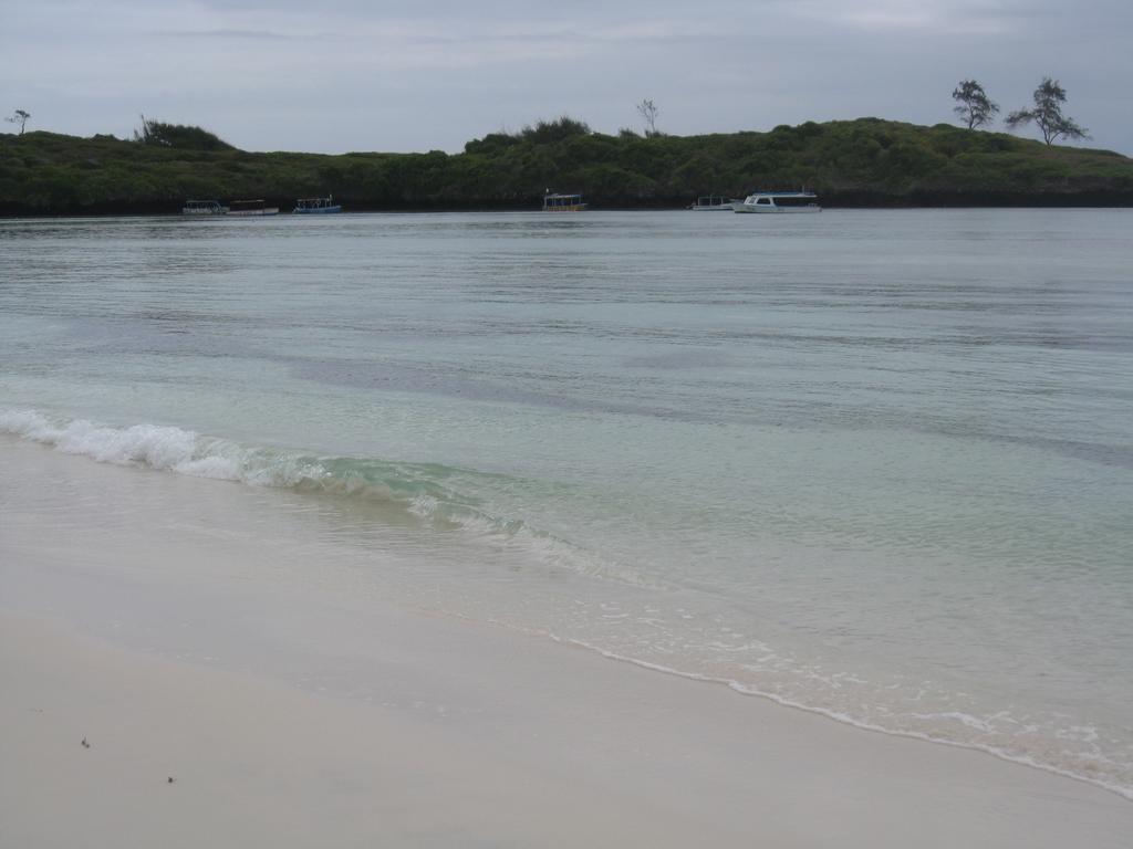 Luciano & Grace Apartments Watamu Exteriér fotografie